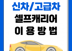 신차/고급차는 어떻게 탁송이 진행되나요?